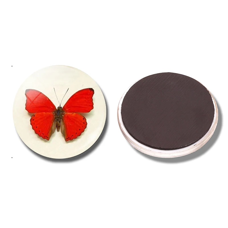 Декоративная магнитная доска для сообщений в виде бабочки | Дом и сад