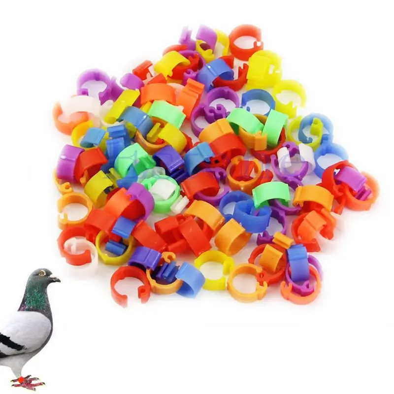 

100X Chicken Hen Pigeon Leg Poultry Dove Bird Duck Chicks Parrot Clip Rings Band K3NA