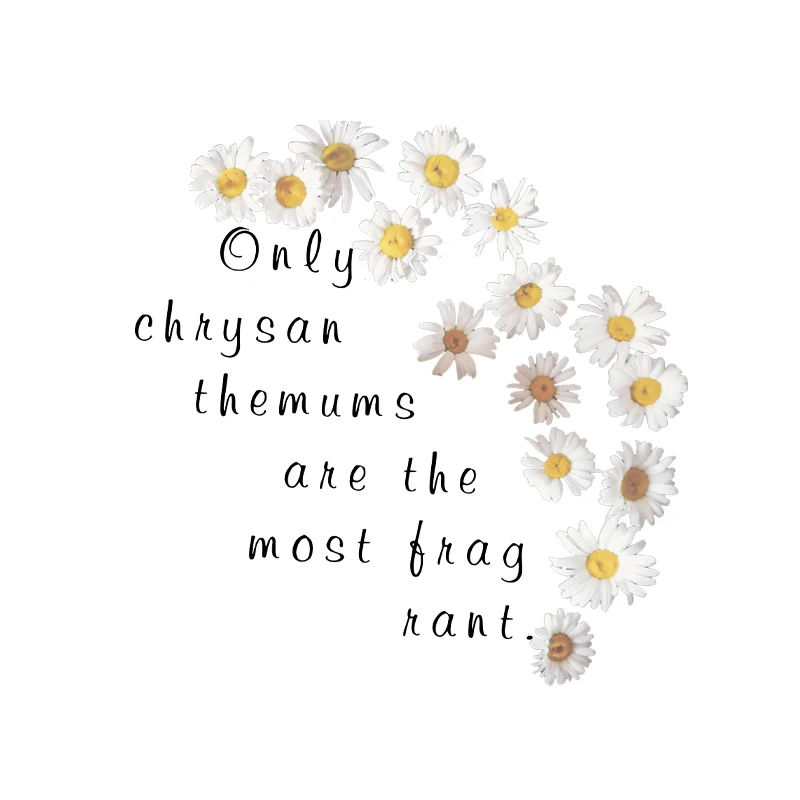 

Daisy Flower Letter Iron On Transfer Patches For Clothes DIY Washable T-Shirts Transfer Thermal Stickers