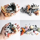 Моделирование животных цикл роста Бабочка Божья коровка курица фигурка жизненного цикла пластиковые модели Фигурки образовательные детские игрушки