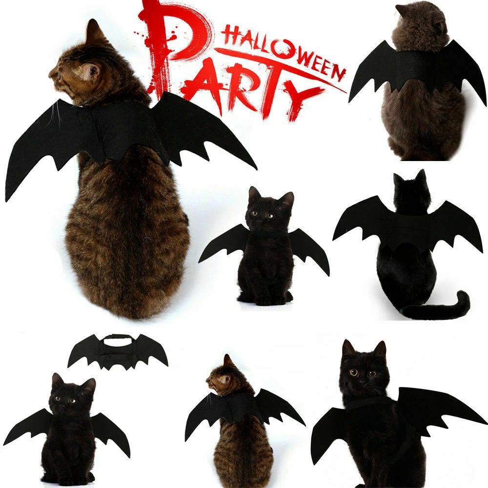 

2021 New Halloween Pet Dog Cat Bat Wings Costumes Vampire Cosplay Cute Funny Bat Wing Pet Gifts Costume Photo Props Headwear