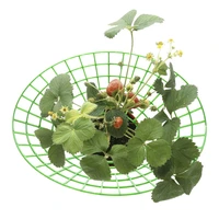 strawberry holder strawberry plant stands to keep fruit elevated to prevent rot vegetable stand for balcony garden