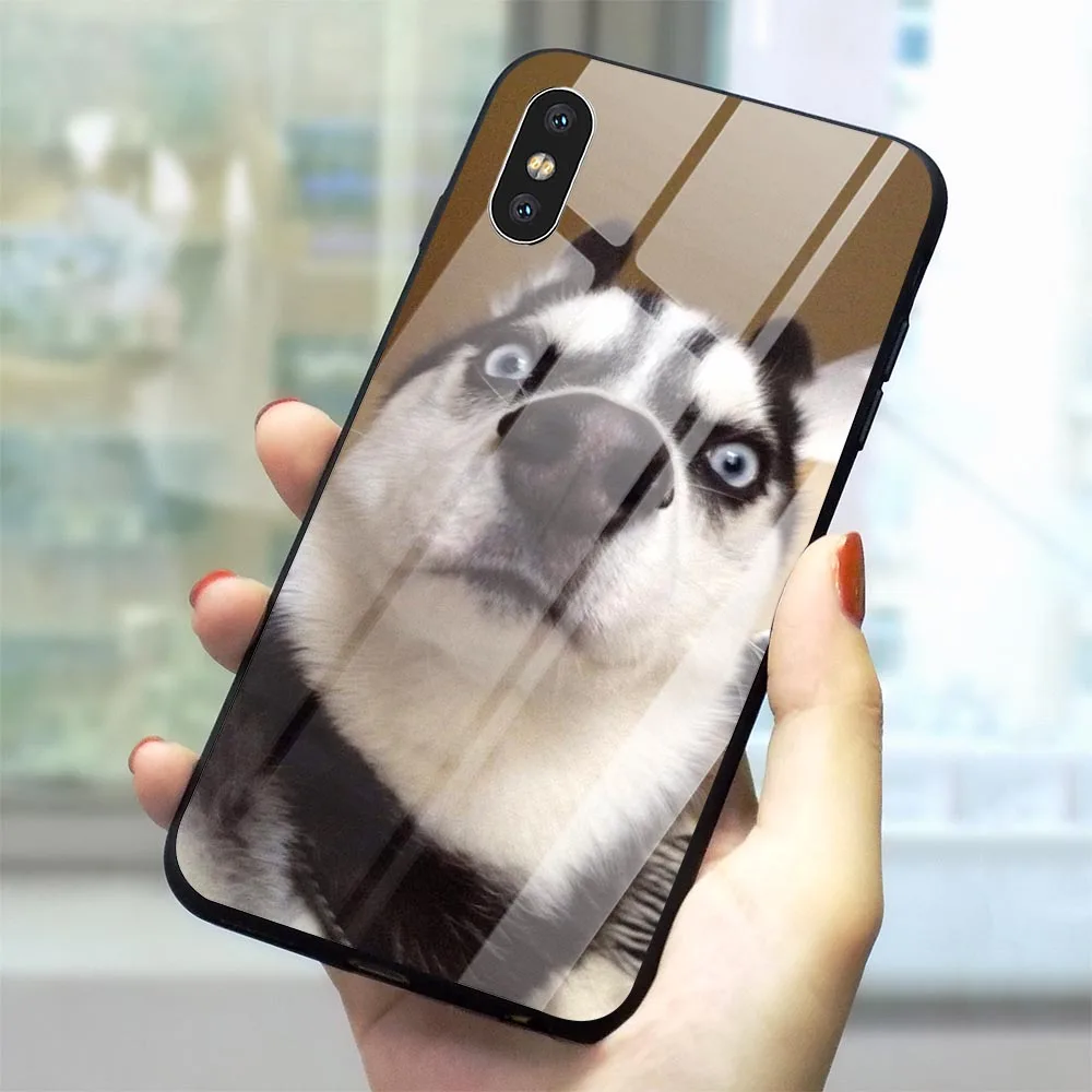 Чехол для телефона из закаленного стекла с изображением щенка Хаски iPhone 7 Plus