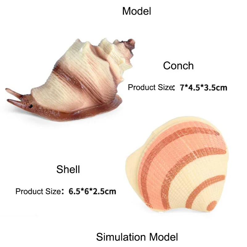 

Детские Игрушки для раннего развития, игрушки для пляжа, статическая раковина, искусственная модель морского животного, декоративные украш...