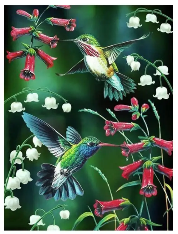 Цветы птицы Алмазная картина Колибри вышивка мозаика Алмазный dotz 5d горный