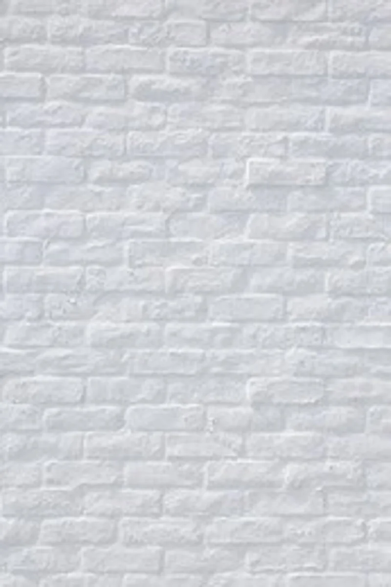 

Photo Studio Props Photography Backdrop White Brick Wall Vinyl Background Wedding Children's Birthday Party Decoration