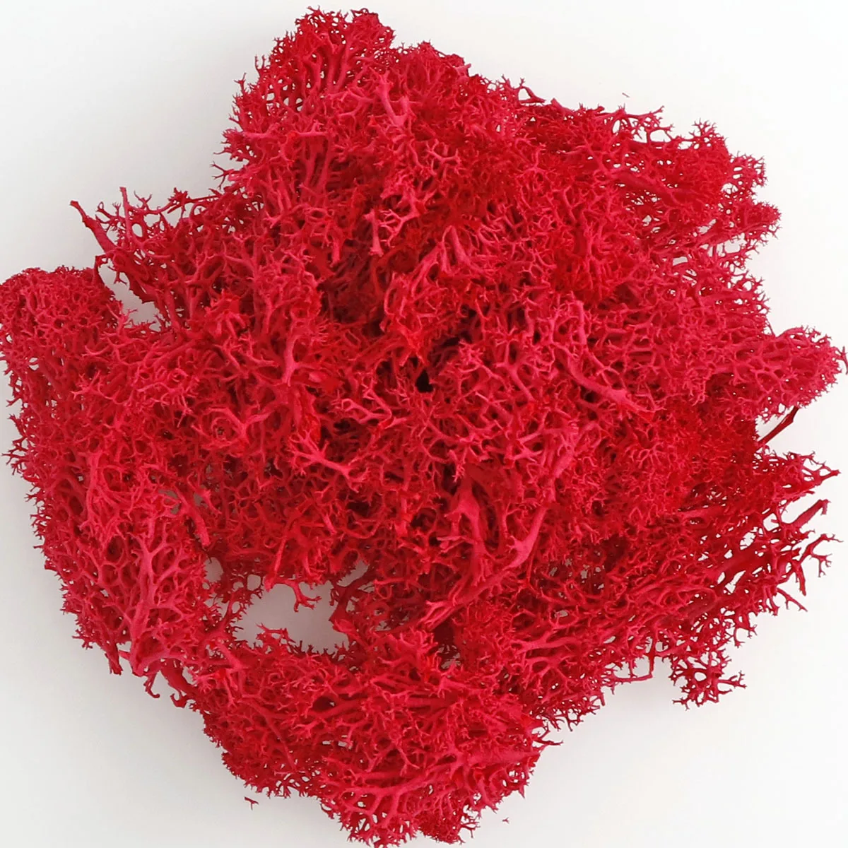 

20g Natural Norwegian Moss Preserved Dried Craft Preservation Flower Fairy Decorations for home fish tank decoration