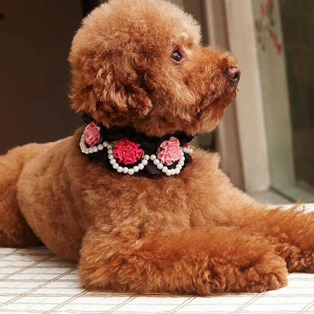 Ошейник кружево для собак и кошек 1 шт. цветок роза ошейник модные ошейники из