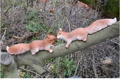 

Креативные изделия из смолы для животных, белки, Пара украшений для сада и дома, украшение для сада, животных, мыши, бассейна, дома