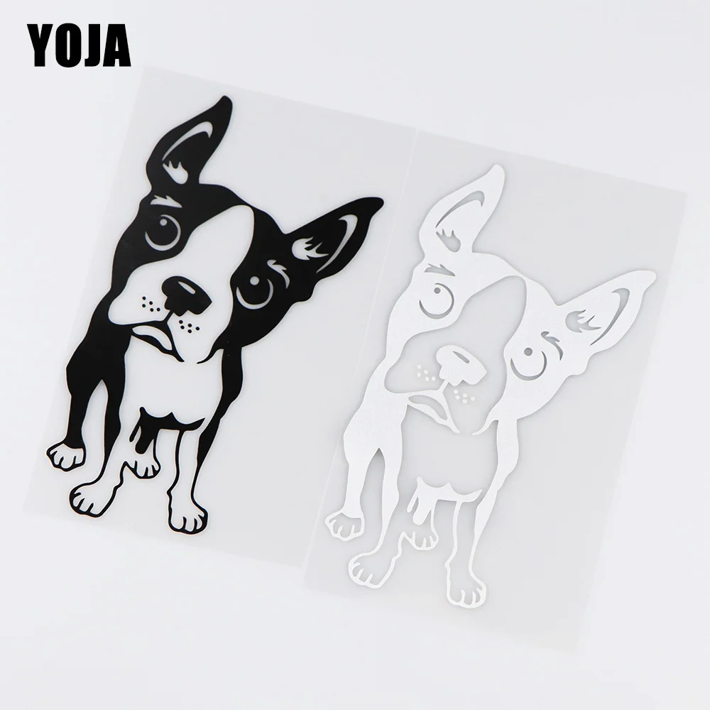 Наклейка на автомобиль с рисунком животного 10x17 3 см | Автомобили и мотоциклы