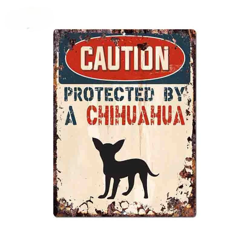 

13*10cm Caution Protected By Chihuahua Warning Funny Car Sticker Dog Pet Car Window Decal Vinyl Waterproof Car Accessories KK