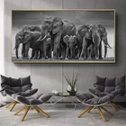 Современные животные холст картины Африканский Слон стадо плакаты и черно-белые принты настенные картины для гостиной домашний декор