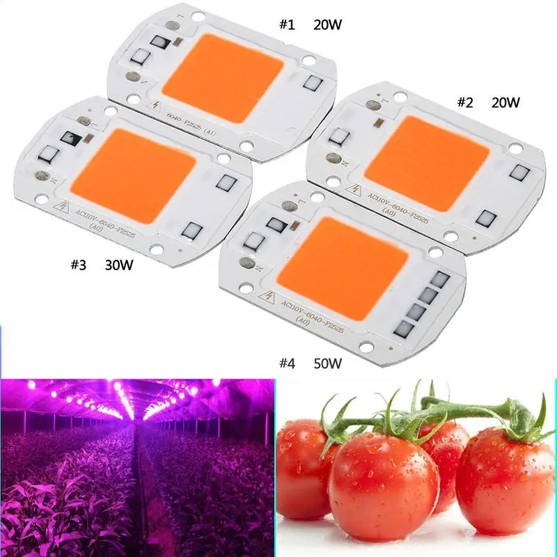 

Full Spectrum COB LED Plant Grow Chip Phyto Light 20W 30W 50W Led Diode Grow Lamp Fitolampy for Seedling Veg Indoor Hydroponics
