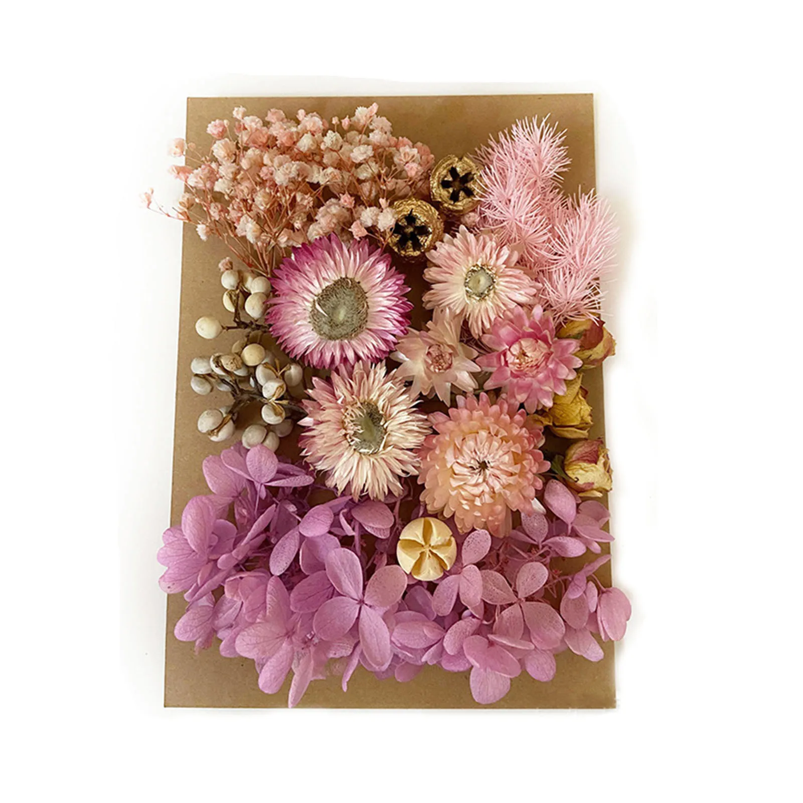 Цветные натуральные сушеные прессованные цветы для ручной работы листья