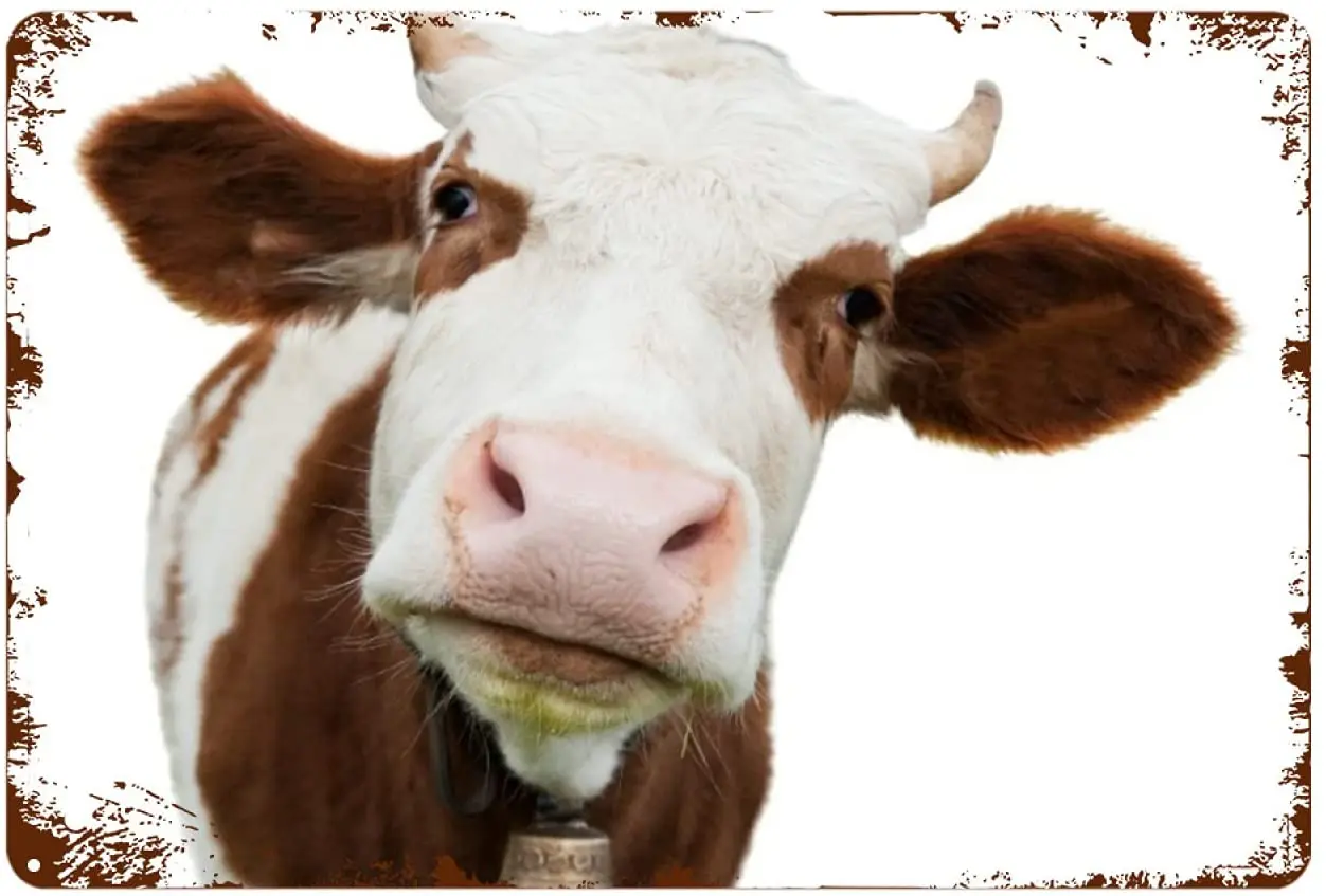 

Metal Signs Just married written on golden sandy beach landscape Metal Tin Sign Vintage Chic Art Decor Poster Cafe Wall Art Gift