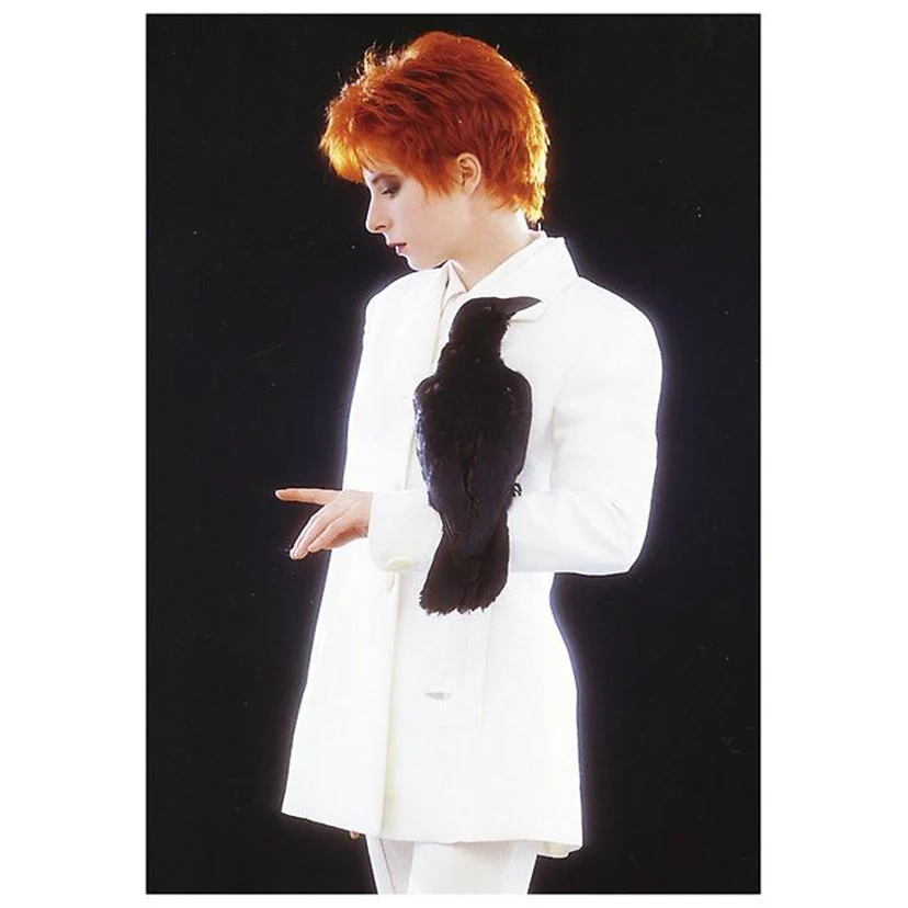 3D вышивка крестиком Мозаика полностью квадратные/круглые алмазы вышитая фигура