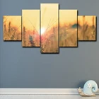 Laeacco пшеницы в Sunse Холст 5 Панель классического синего неба настенные художественные плакаты и принты дома Гостиная Ванная комната украшения