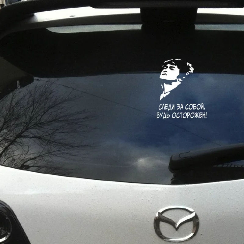 

Vinyl Car Stickers Personalized Stickers Without Background Film