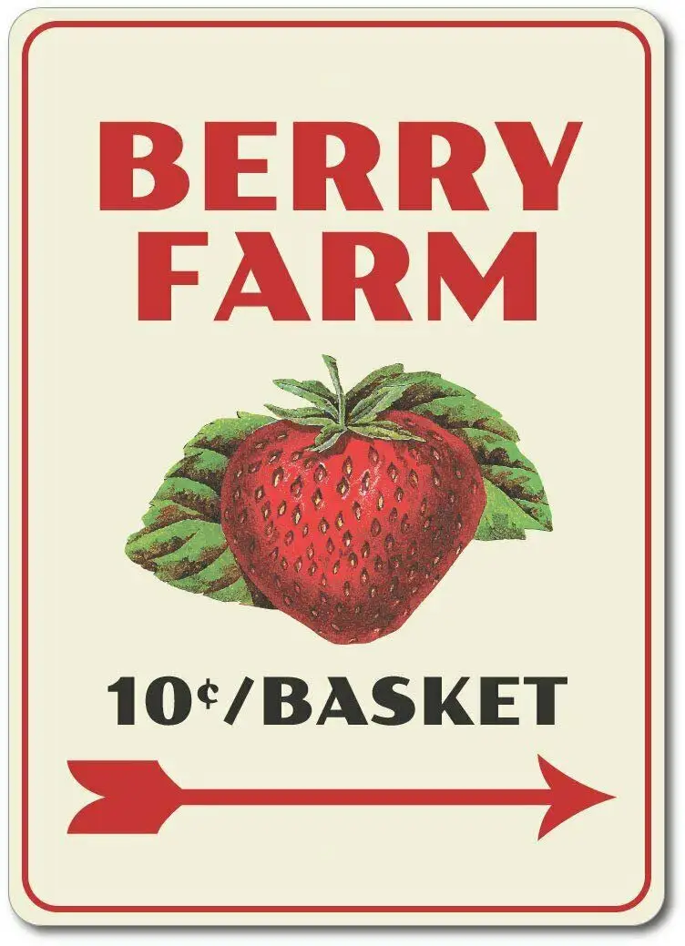 Винтаж металлический знак жестяная вывеска Berry Farm в виде клубники Бар Кухня