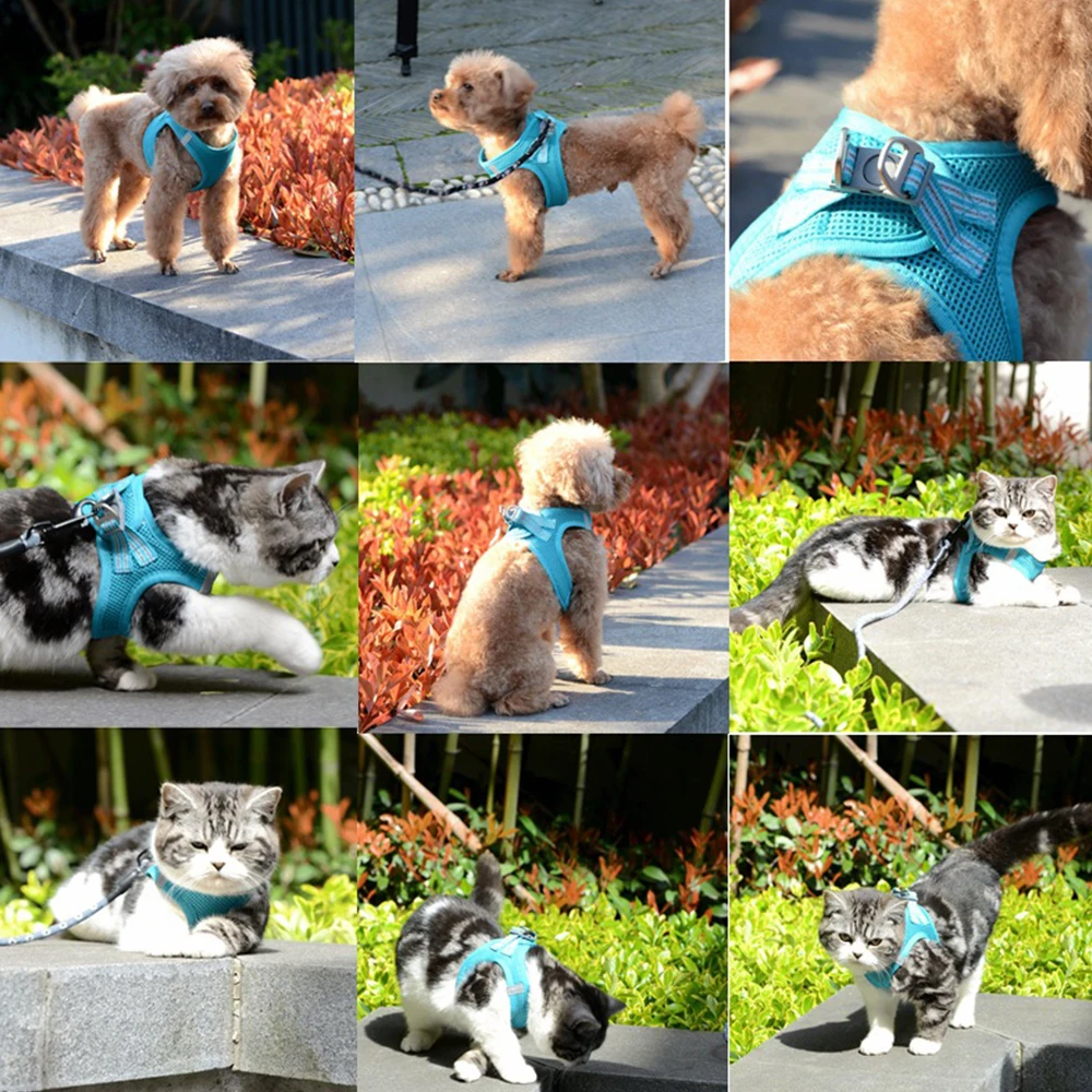 

Pet Chest Harness Reflective Breathable Cat Collar Training Collar Harness Small Puppy Adjustable Dogs Leads Chest Straps
