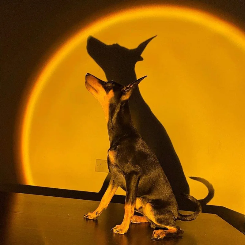 

USB LED Sunset Projector Lamp Rainbow Night Light Room Decor Rotate Sun Romantic Projection Desk Lamp Bedroom Decoration Gifts