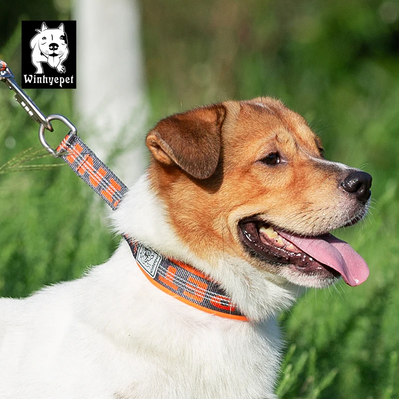 Тренировочный ошейник для собак Truelove регулируемые ошейники уличные