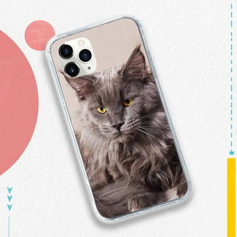 

pet maine coon cat lovely animal Phone Case for iPhone 11 12 pro XS MAX 8 7 6 6S Plus X 5S SE 2020 XR