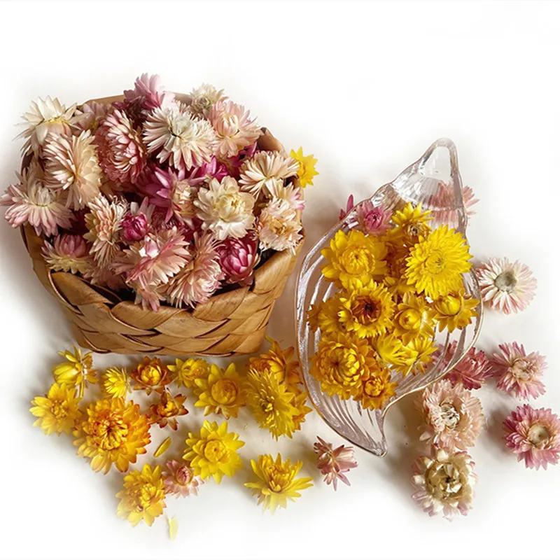 

100Pcs Real Gerbera Daisy Flowers Heads Flores Decorativas Party Room Decoration Accessories Craft Fotografia Dried Flowers
