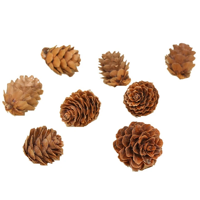 10 шт. мини Pinecone сосновые шишки Pinecone для рождественской елки топперы ваза чаша наполнитель отображает декоративные ремесла домашний декор