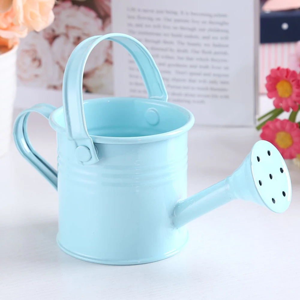

Watering Can Plant Spray Gardening Tools Portable Sprinkled Metal With Handle Wrought Iron Shower