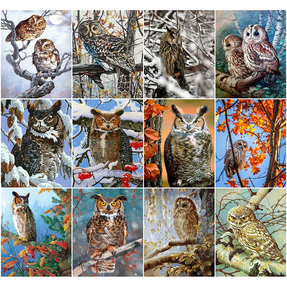 

AZQSD 40x50cm Painting By Number Canvas Kits Animal Unique Gift DIY Adult Coloring By Numbers Owl Home Bedroom Wall Artwork