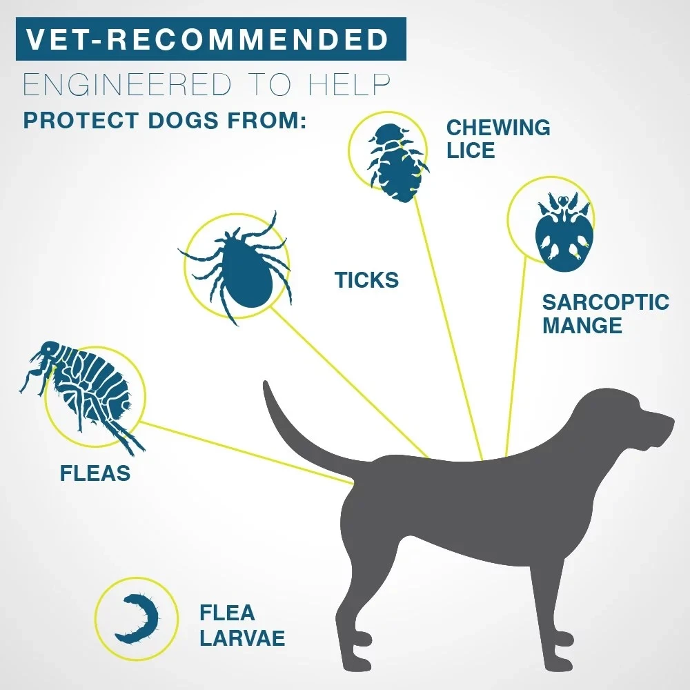 

Original Authentic Bayer Seresto 8 Month Flea & Tick Prevention Collar for Large Dogs In Stock