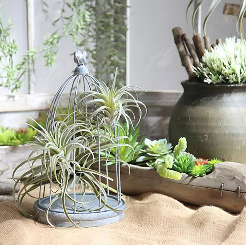 1 шт. Искусственные цветы ананас трава цветок воздушная Свадебная стена с цветами