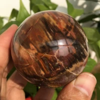 natural petrified wood fossil sphere crystal quartz globe ball rock stones minerals reiki healing home decor