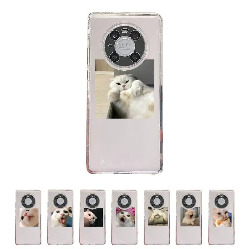 

cue cat Phone Case Transparent For Huawei honor V 40 30 20 X note 10 pro lite max s Soft TPU Clear Mobile bags