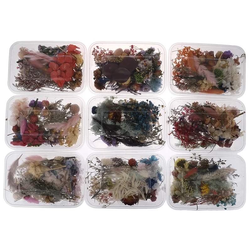 

1 Box Real Dried Flower Dry Plants For Aromatherapy Candle Epoxy Resin Pendant Necklace Jewelry Making Craft DIY Accessories