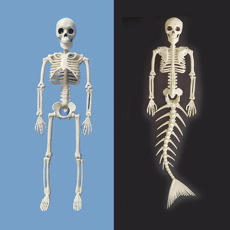 

1 Pcs Human Or Mermaid Skeleton People Active Model Skeleto Anatomy Model Medical Learning Halloween Party Decoration Art Sketch