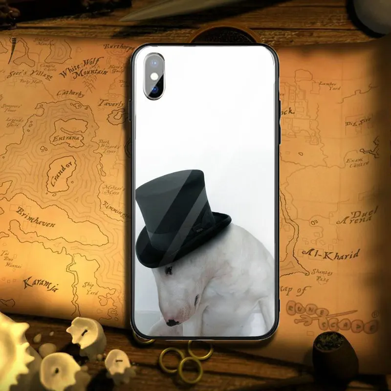 Чехлы для телефонов из закаленного стекла iPhone 5 дюймов женская модель X XR XS Max 10 7 8