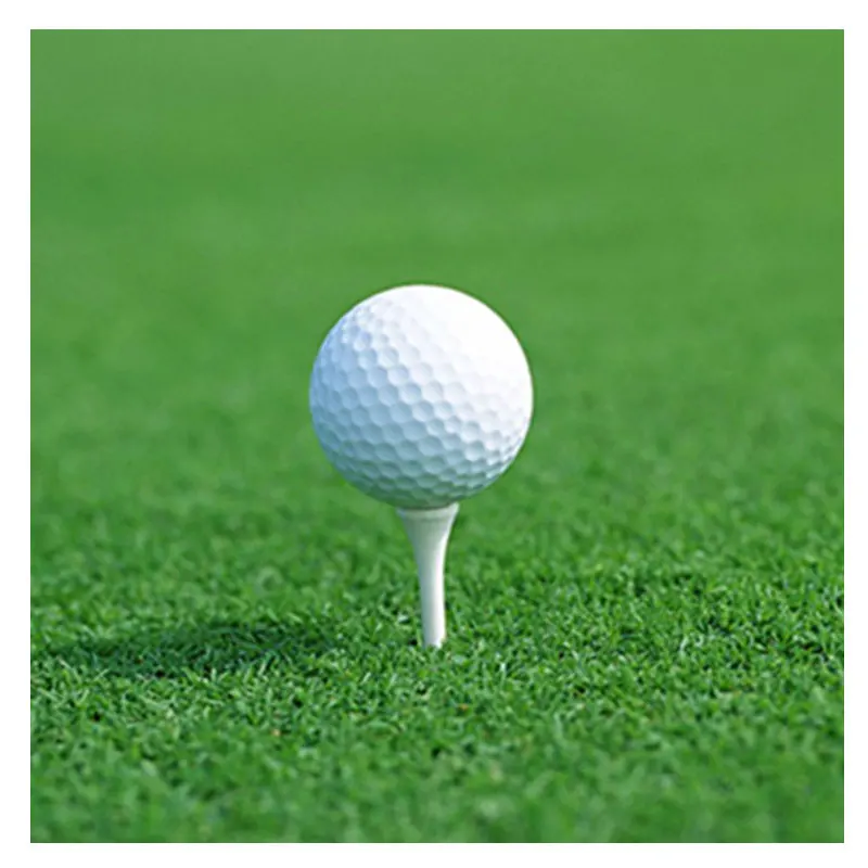 5 шт. 3 слойные мячи для гольфа из синтетического каучука|Мячи гольфа| |