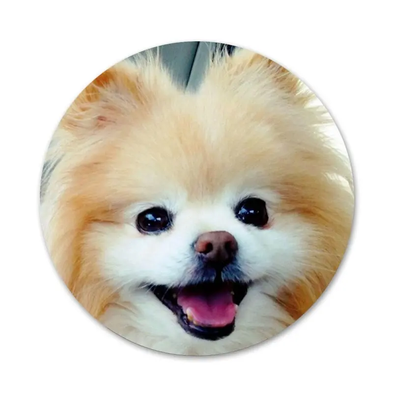 Своего померанского шпица собаки значок с собакой брошь заколка аксессуары для