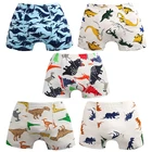 2 шт.Лот, Детские хлопковые трусы с принтом