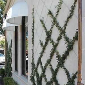 20 шт. зеленые стенки из нержавеющей стали втулки проволочные шпалеры наборы для