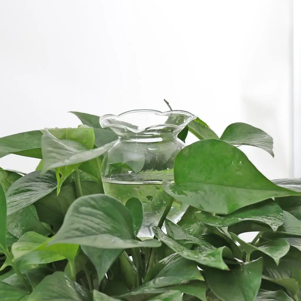 2 шт. самополивающийся шар для растений лампочка воды ручной работы прозрачный