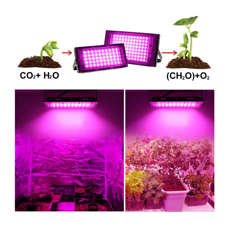 

100W Indoor LED Grow Light 50W Flower Cultivation Lamp Red Blue Full Spectrum EU For Indoor Hydroponic Plant Garden IP65 AC220V