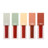5 color lip gloss lipstick lip gloss lasting velvet fog matte not easy to touch a cup of lipstick