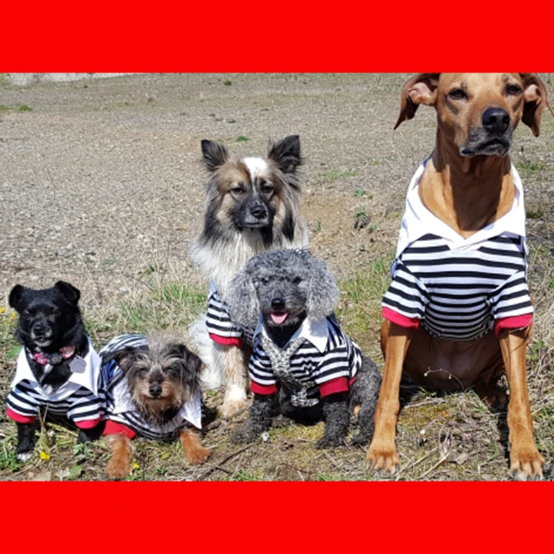 Большая домашняя Собака куртка 100% хлопок Одежда для маленьких собак полосатая