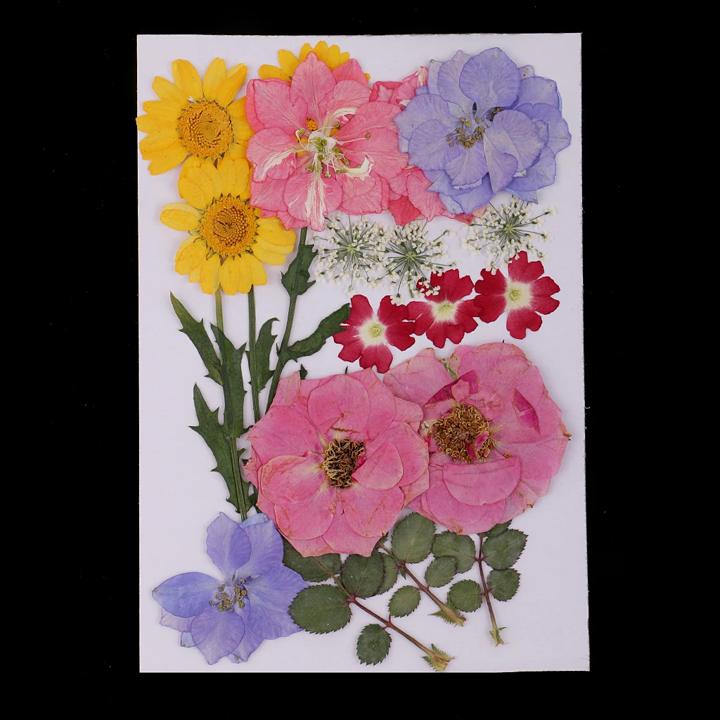 Много Смешанных реальных прессованных цветов Сушеные Цветы Скрапбукинг чехол