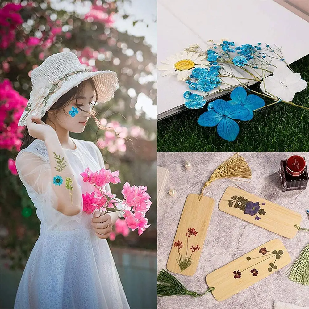 

Natural Dried Flower Material Package DIY Handmade Bookmark Nail Art Makeup Vacuum Package Embos Material Gift Handmade Product
