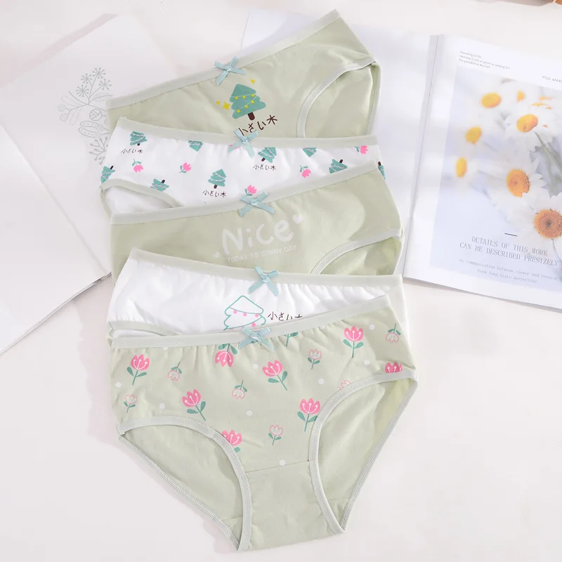 

Cartoon Green Trees Underwear 3pcs Teenage Panties Flower Underpants Young Girl Briefs Comfortable Cotton Panties Kids Clothing