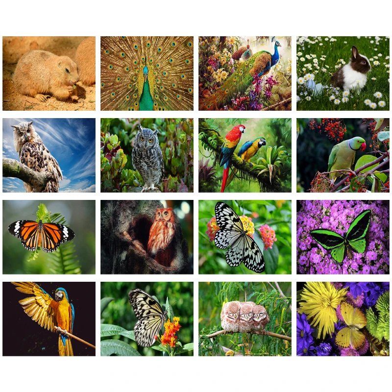 

Diy Diamond Decoration Painting Animal Jungle Tree Owl Butterfly Square Diamond Round Diamond Customizable Wall Art Decoration